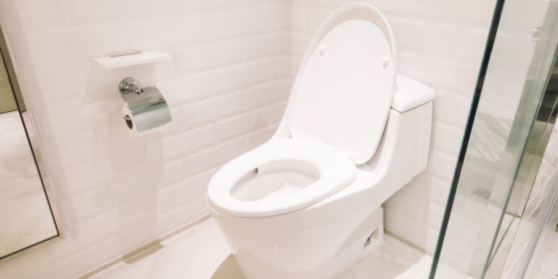 Como desentupir vaso sanitário que caiu objeto dentro em Cuiabá