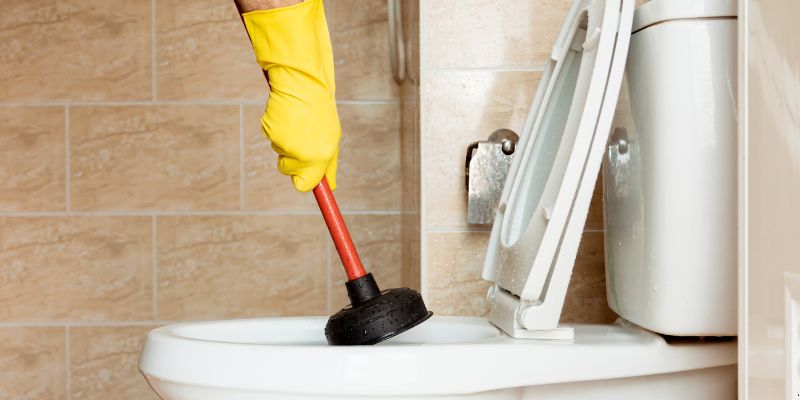 O que é bom para desentupir vaso sanitário em Cuiabá